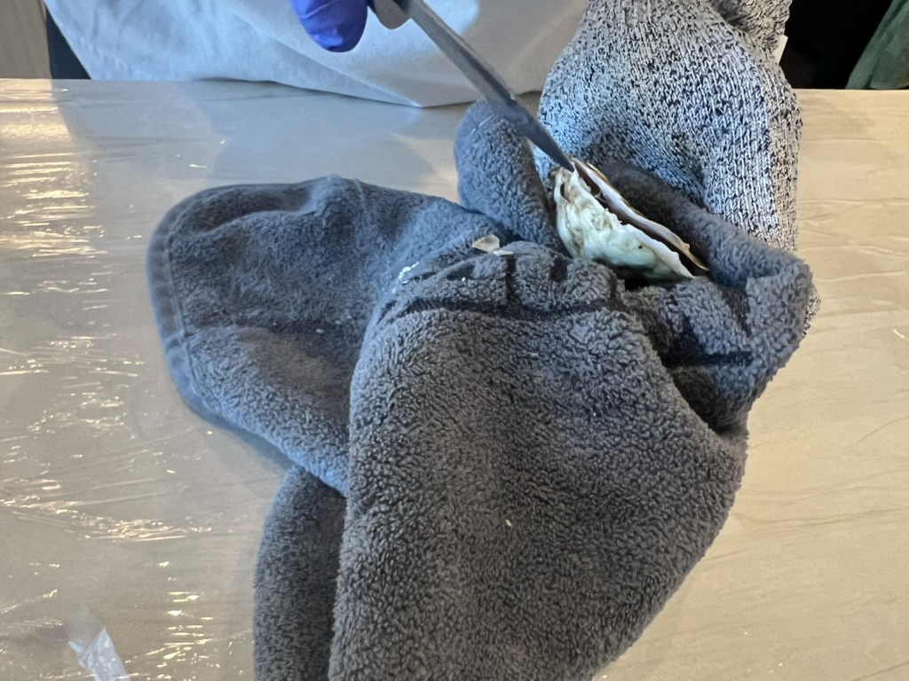 ホールフーズ 生牡蠣